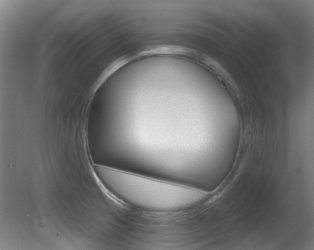 X0000081321425200701111017