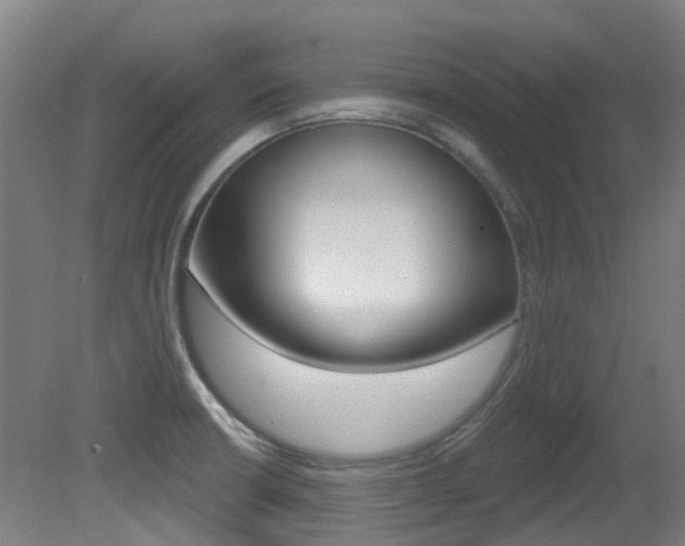X0000081321426200701111017