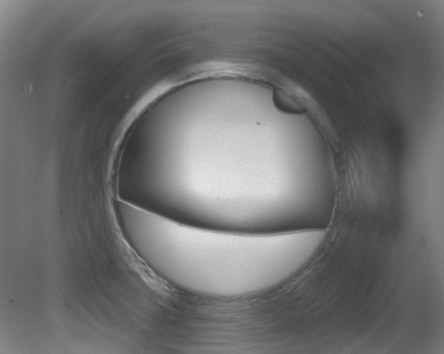 X0000081321427200701111017