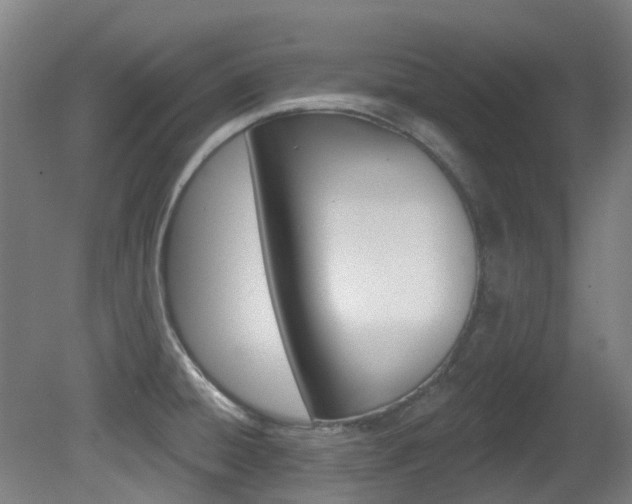 X0000081321428200701111017