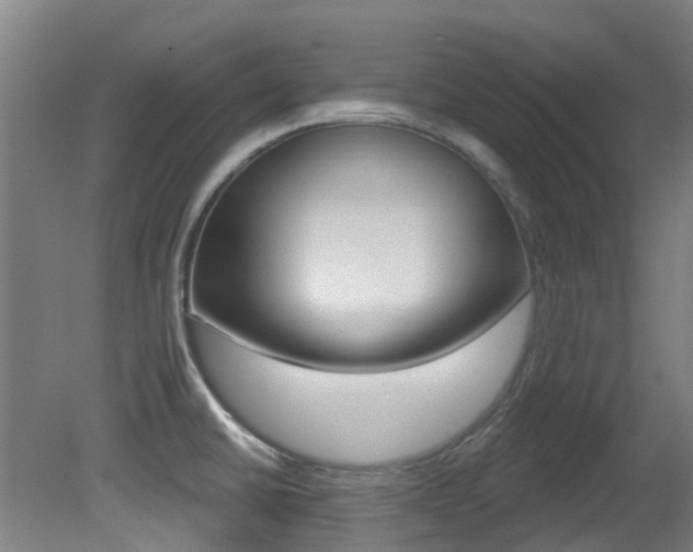 X0000081321430200701111017