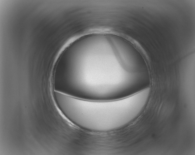 X0000081321432200701111017