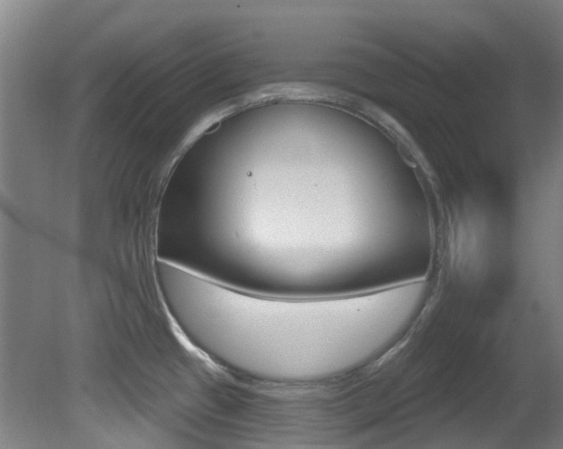 X0000081321433200701111017