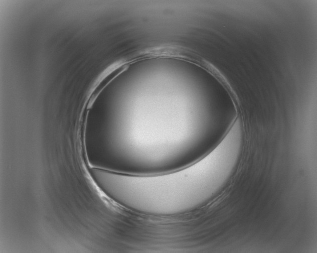 X0000081321434200701111017