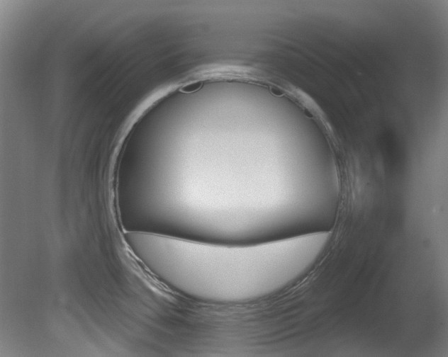 X0000081321435200701111017