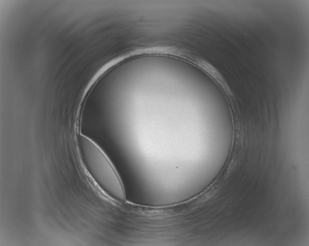 X0000081321436200701111017