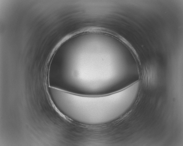 X0000081321437200701111017