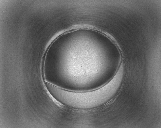 X0000081321438200701111017
