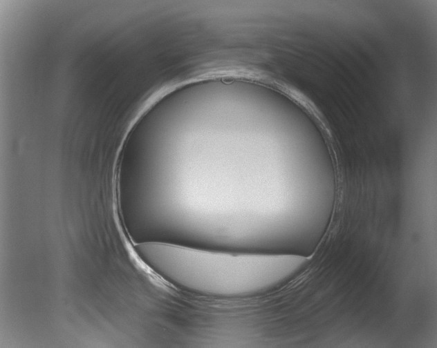 X0000081321439200701111017
