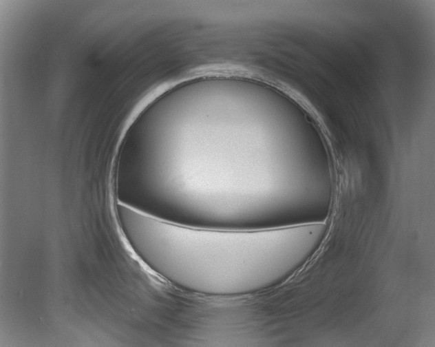 X0000081321440200701111017