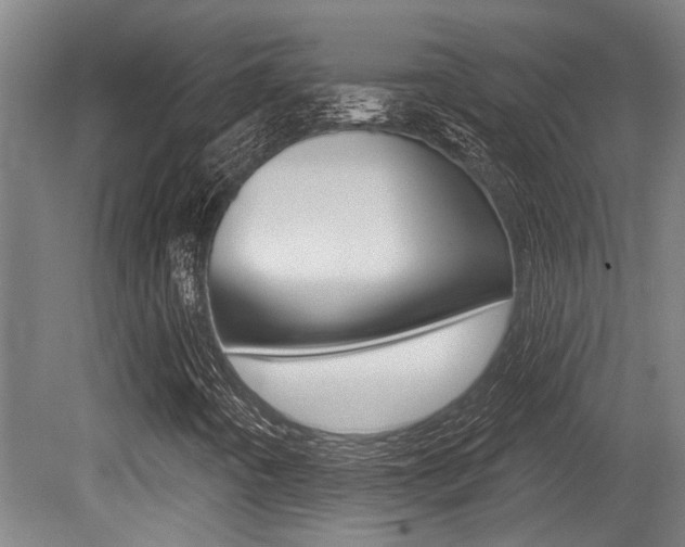 X0000081321442200701111016