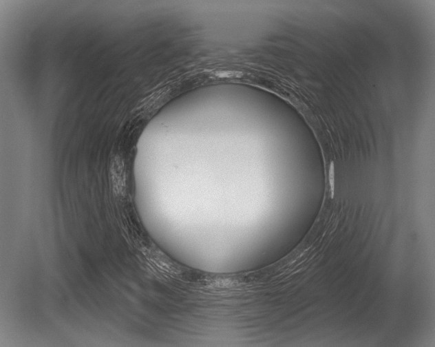 X0000081321443200701111016