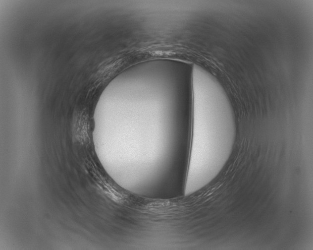 X0000081321444200701111016