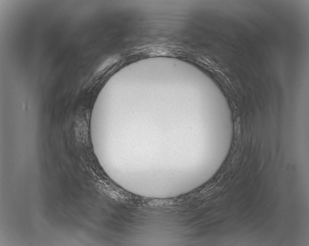 X0000081321446200701111016
