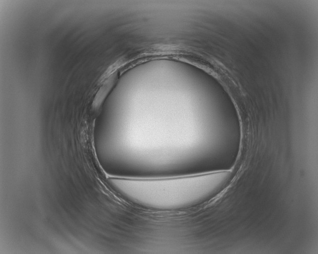 X0000081321449200701111016