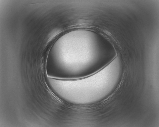 X0000081321450200701111016