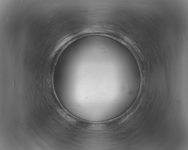 X0000081321453200701111016