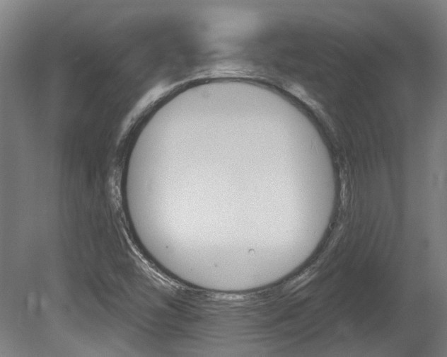 X0000081321454200701111016