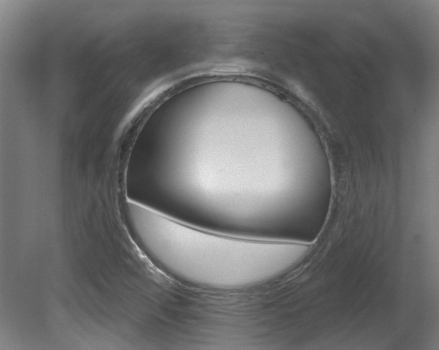 X0000081321456200701111016