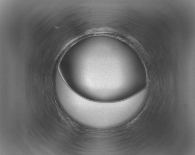 X0000081321457200701111016