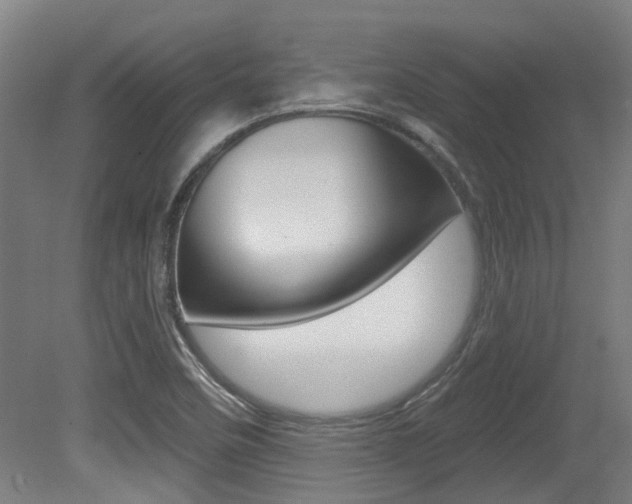 X0000081321458200701111016