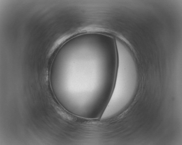 X0000081321461200701111016