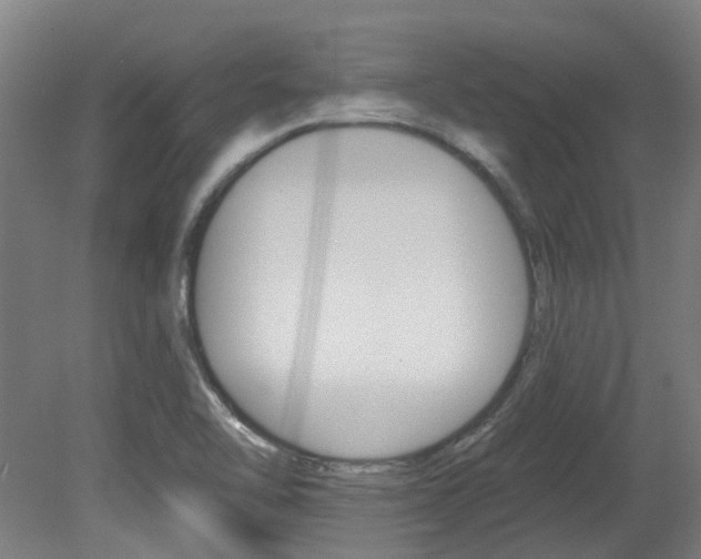 X0000081321462200701111016