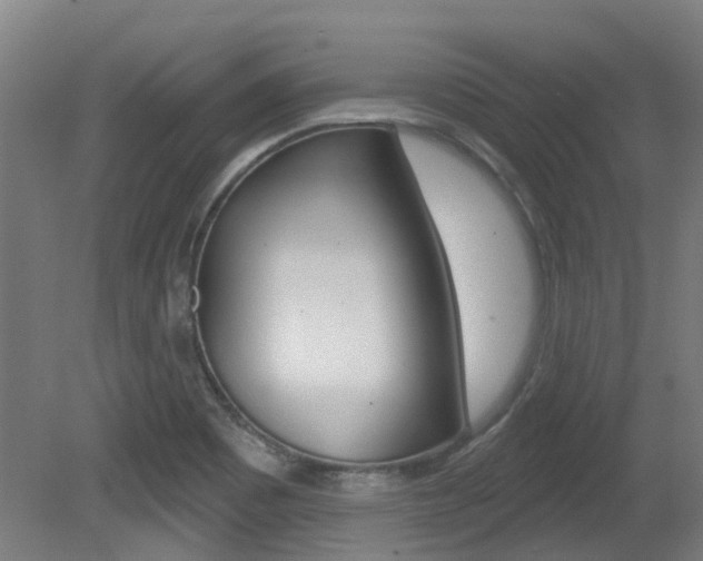 X0000081321465200701111016