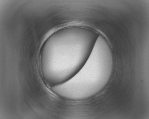 X0000081321467200701111016