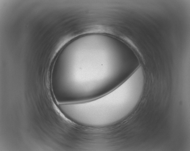 X0000081321468200701111016