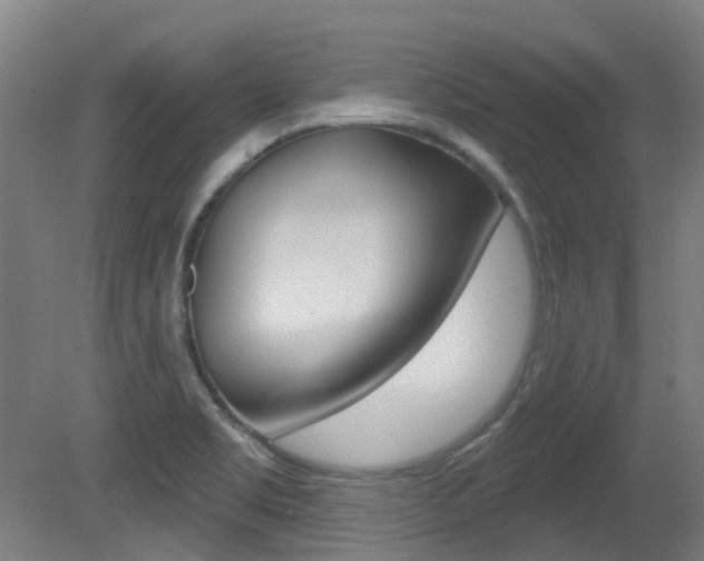 X0000081321469200701111016