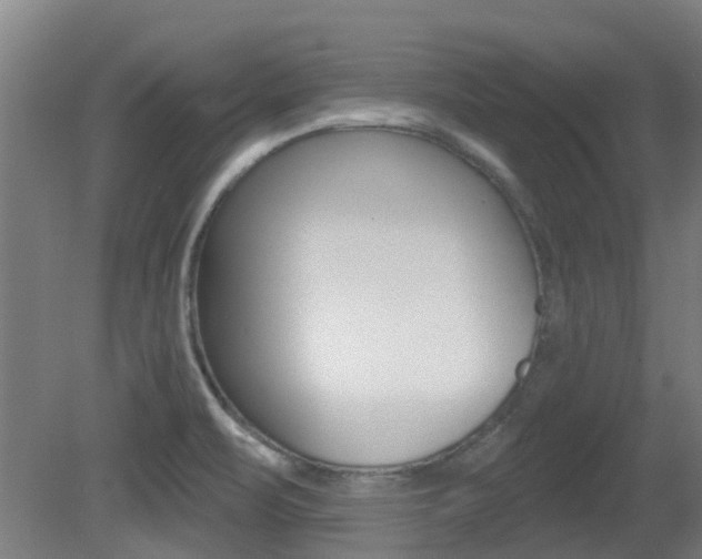 X0000081321471200701111016
