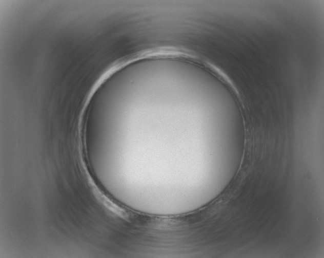 X0000081321475200701111015