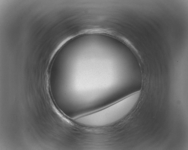 X0000081321476200701111015