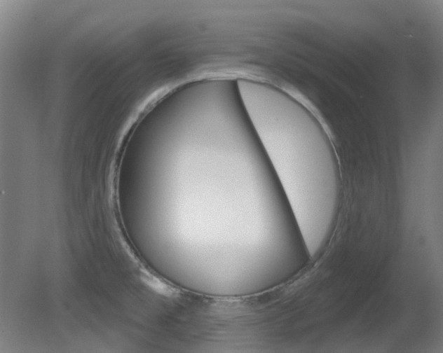 X0000081321477200701111015