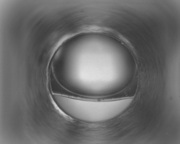 X0000081321479200701111015