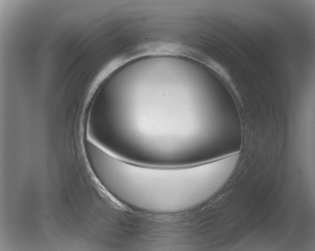 X0000081321480200701111015