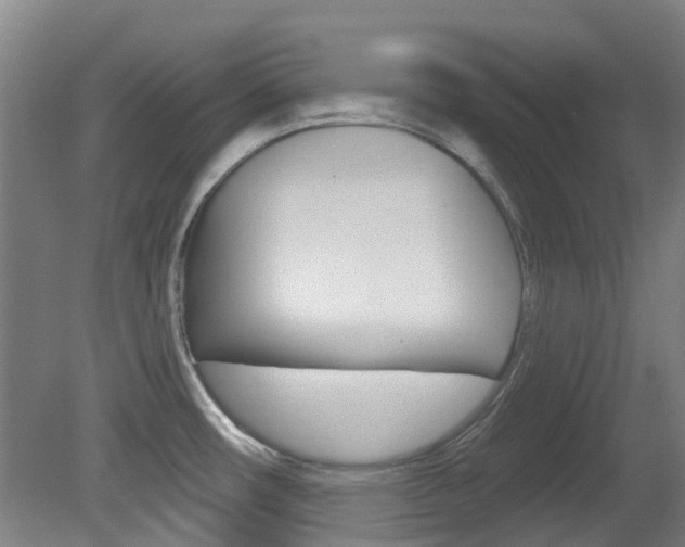 X0000081321482200701111015
