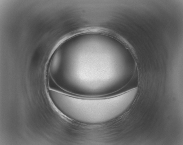 X0000081321483200701111015