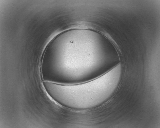 X0000081321484200701111015
