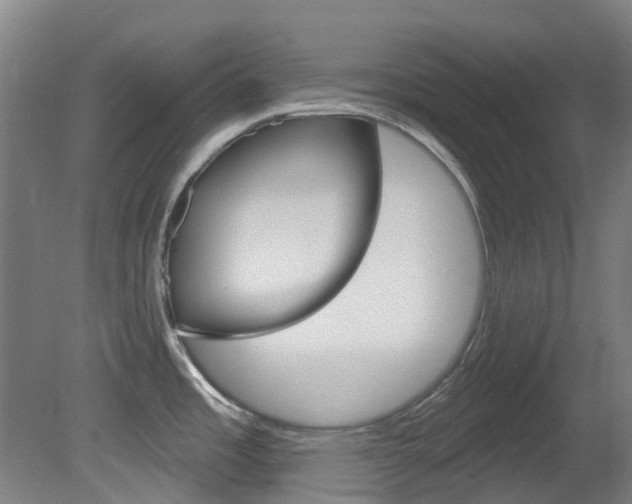 X0000081321485200701111015