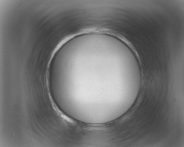 X0000081321486200701111015
