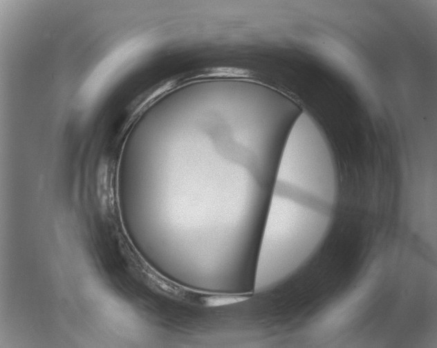X0000081321487200701111015