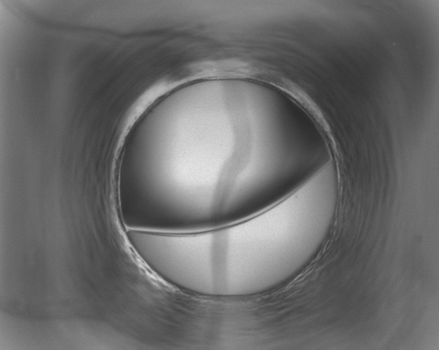 X0000081321488200701111015