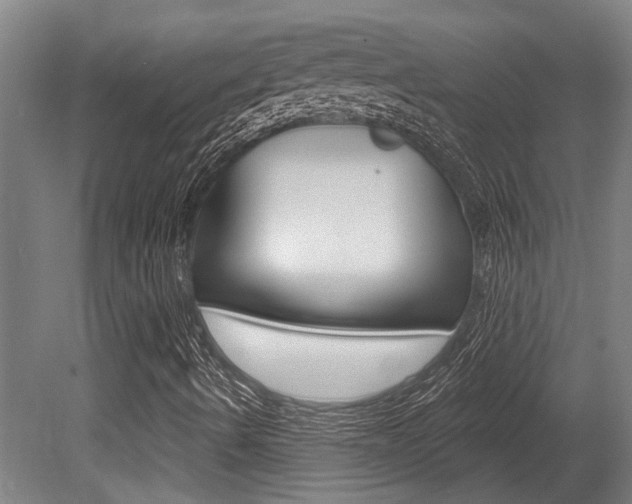 X0000081321490200701111014