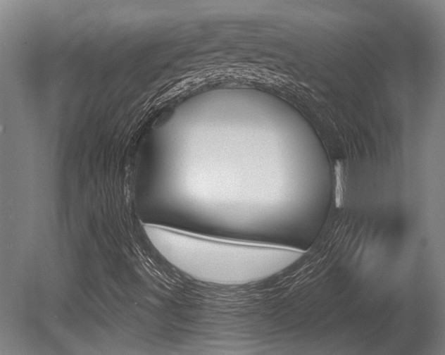 X0000081321491200701111014