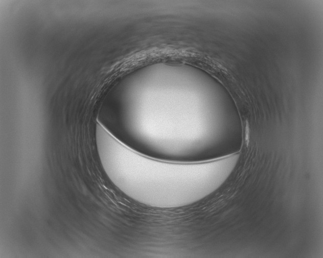 X0000081321492200701111015