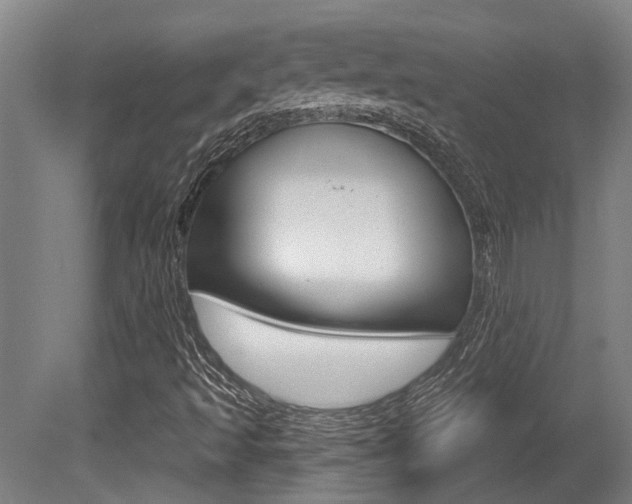X0000081321493200701111015