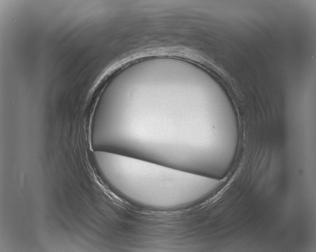 X0000081321498200701111015