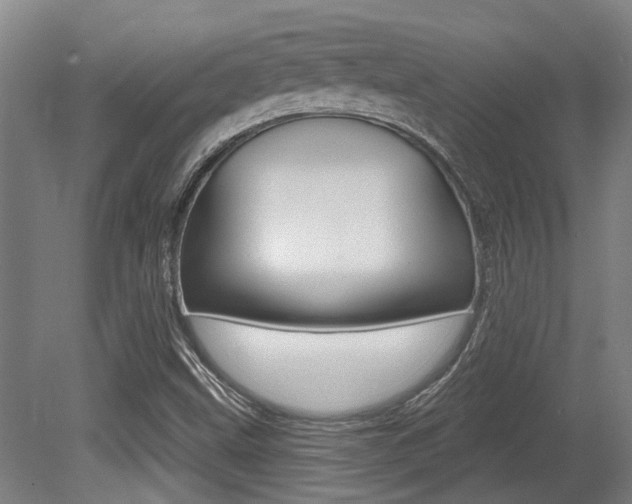 X0000081321499200701111015